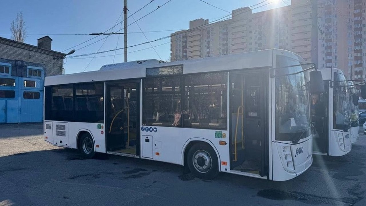 Главная картинка новости: Новороссийск обновляет общественный транспорт: новые автобусы МАЗ-206