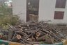 Миниатюра новости: "Уничтожение зеленого оазиса": возмущение жителей Новороссийска после вырубки единственного дерева во дворе