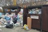 Миниатюра новости: Новороссийск вновь захлестнула проблема мусора: горожане жалуются на нерегулярный вывоз отходов