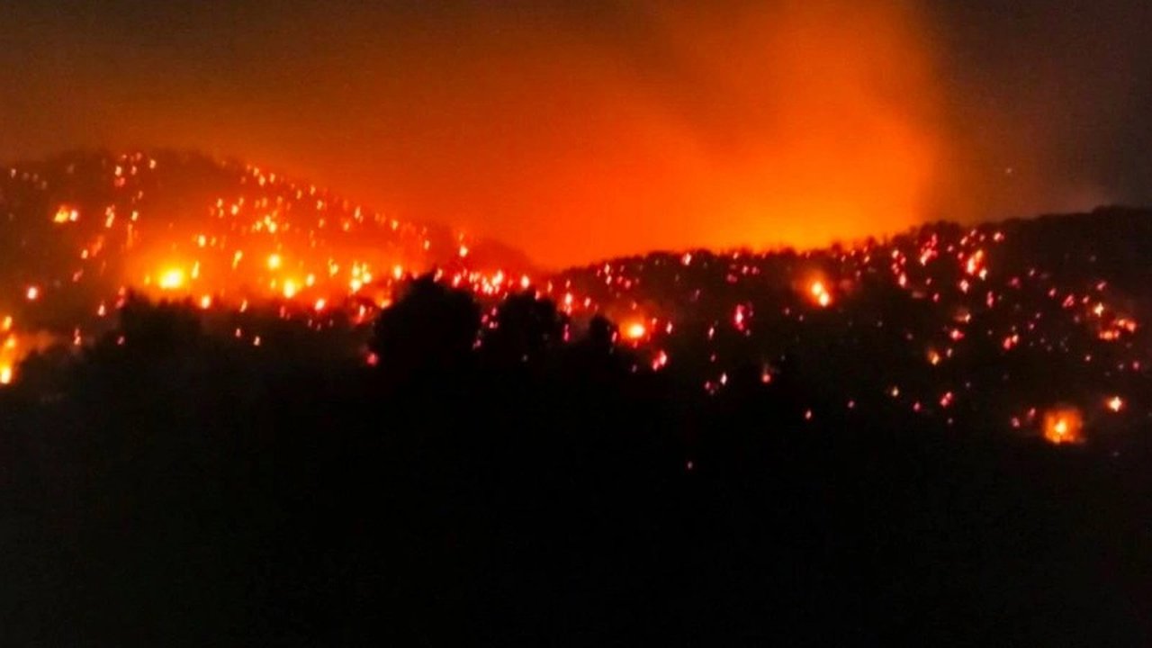 Главная картинка новости: Прокуратура требует взыскать 988 миллионов рублей с экс-директора заповедника «Утриш» за ущерб от лесного пожара