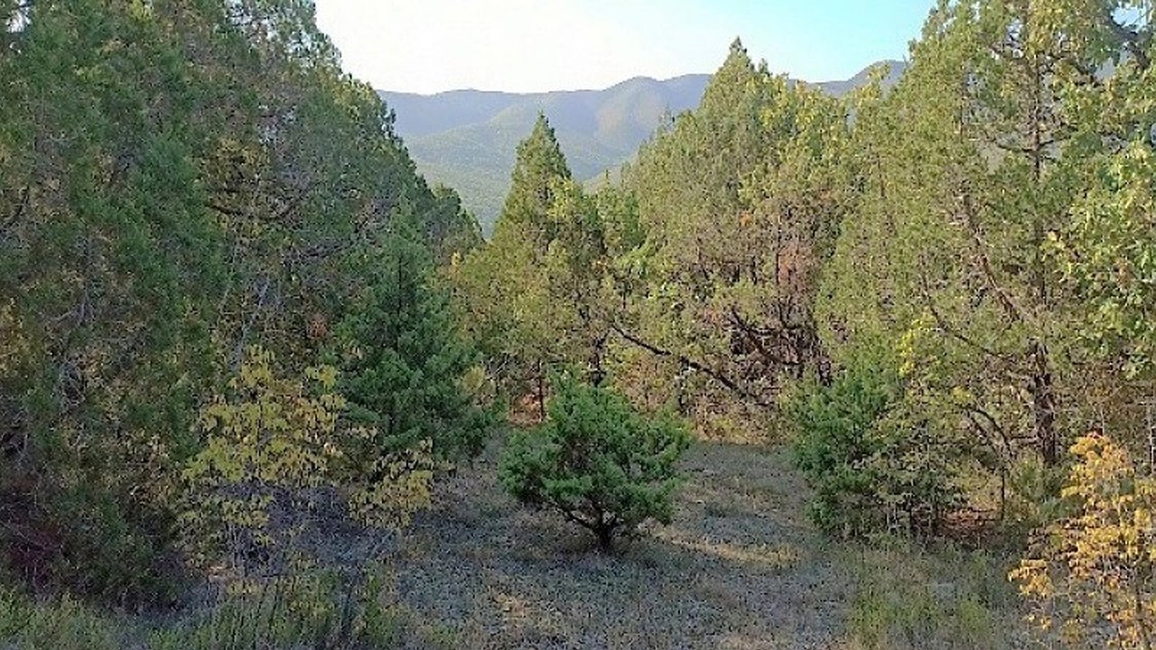 Главная картинка новости: Создание нового заказника 'Хребет Семисам' в Новороссийске: защита природы без ущемления прав собственников