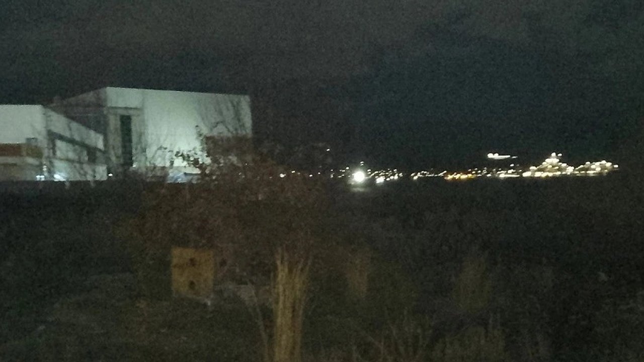 Главная картинка новости: Шакал в Новороссийске: жители обеспокоены исчезновением кошек и появлением хищника