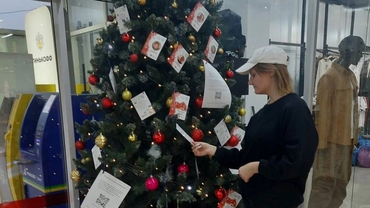 Главная картинка новости: Исполни мечты одиноких пожилых людей в преддверии Нового года