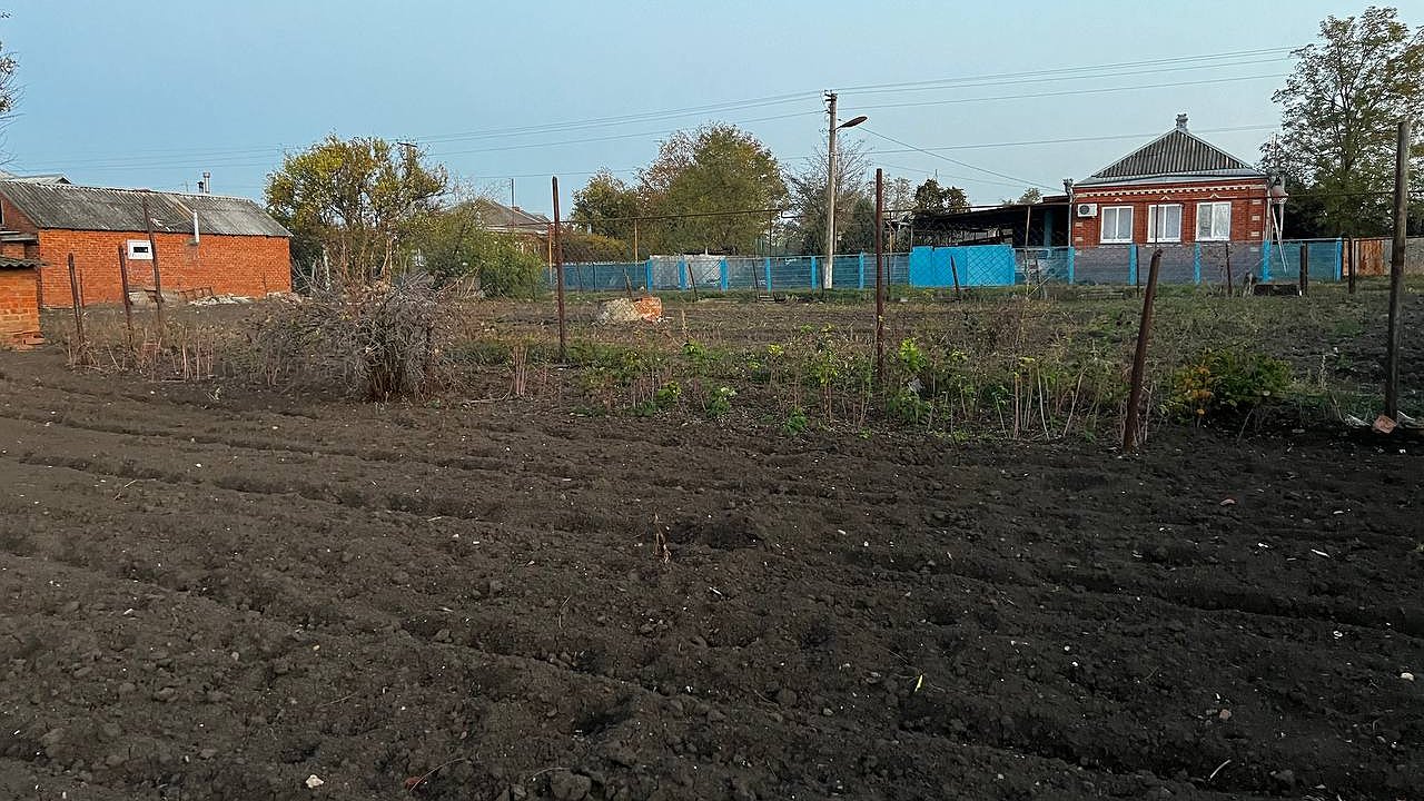 Главная картинка новости: Не нужно ничего выкорчевывать: как моментально удалить пни на даче с помощью соли?