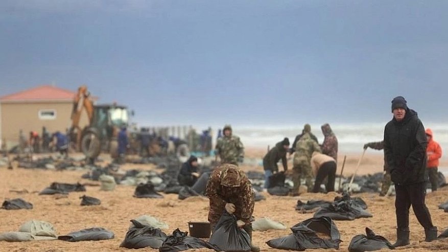 Главная картинка новости: Экологическая катастрофа в Керченском проливе: последствия разлива мазута и его влияние на экосистему