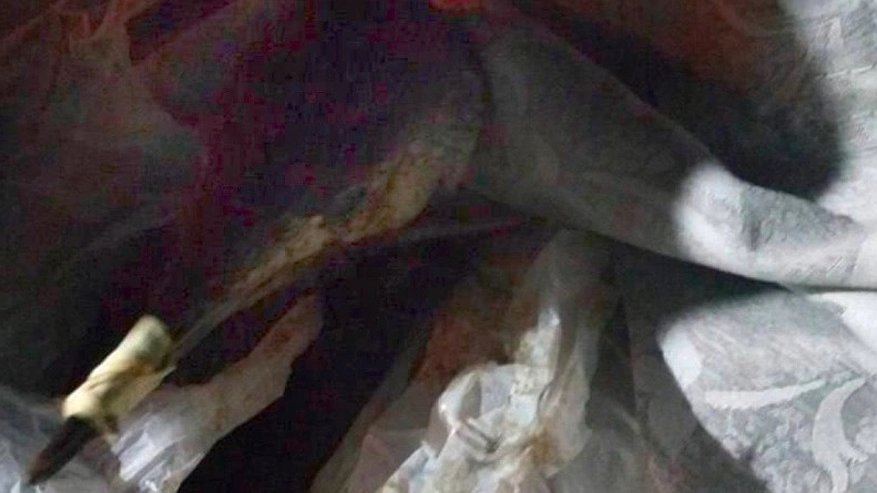 Главная картинка новости: Обнаружение загрязненной птицы в Мысхако: экологическая ситуация требует внимания