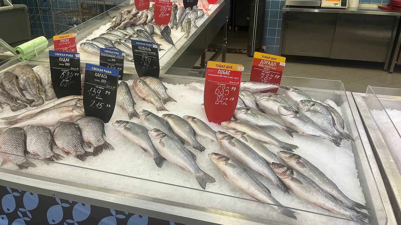 Главная картинка новости: Назвали самую полезную рыбу - ешьте 2 раза в неделю, богата селеном, фосфором, а на вкус очень хороша