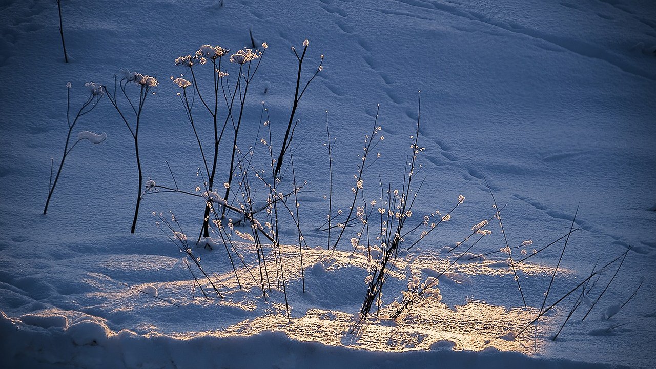 Главная картинка новости: Синоптики ошарашили прогнозом на эту зиму - что ждет россиян в январе и феврале