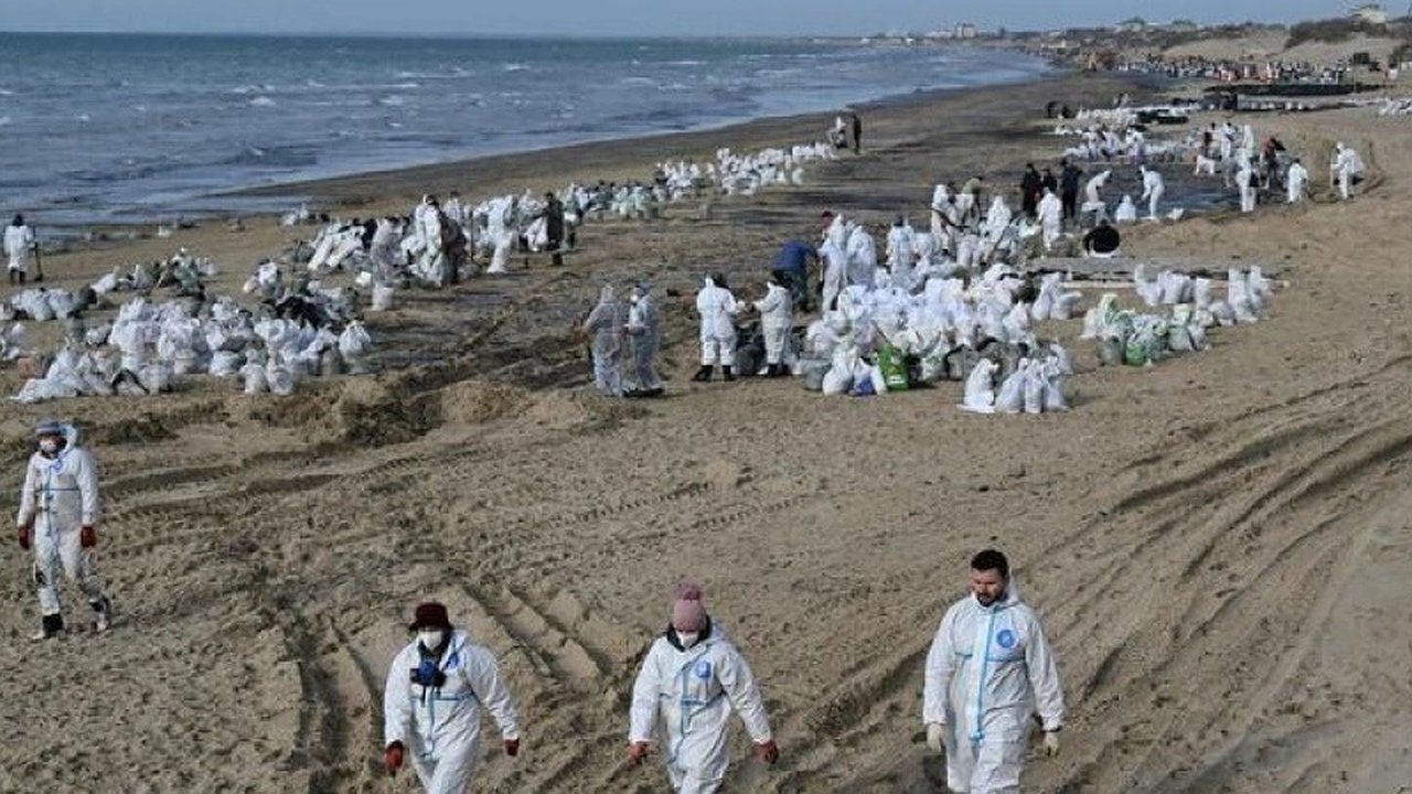 Главная картинка новости: Кремль прокомментировал экологическую катастрофу в Черном море