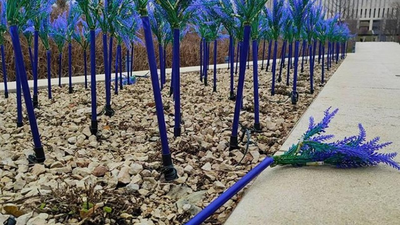 Главная картинка новости: Убытки в парке Галицкого: последствия новогодних гуляний