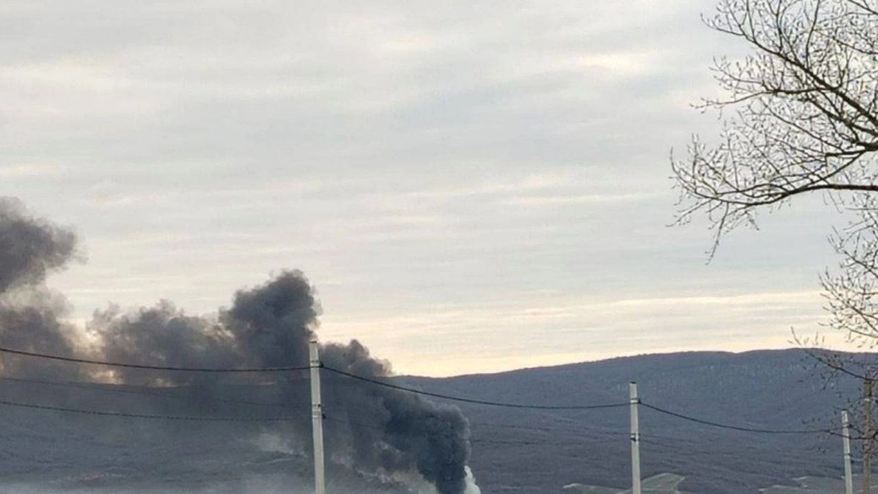 Главная картинка новости: В Новороссийске завершается утилизация биологических отходов: власти утверждают, что уровень загрязнения в норме