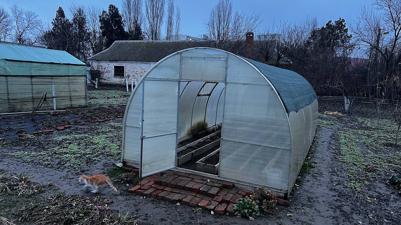 Главная картинка новости: Белокрылка сгорит в аду: такой метод - единственный рабочий от вредителя, идите и пробуйте