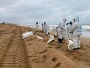 В Анапе продолжается борьба с загрязнением пляжей мазутом: повторные загрязнения