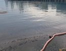 В Новороссийске начато расследование источника загрязнения Черного моря