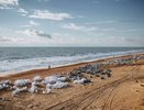Правительство России выделяет 1,5 миллиарда рублей Краснодарскому краю для ликвидации последствий разлива мазута