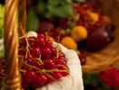 Смородина станет слаще меда: просто бросьте это под кусты в январе, а летом наслаждайтесь вкусными ягодами