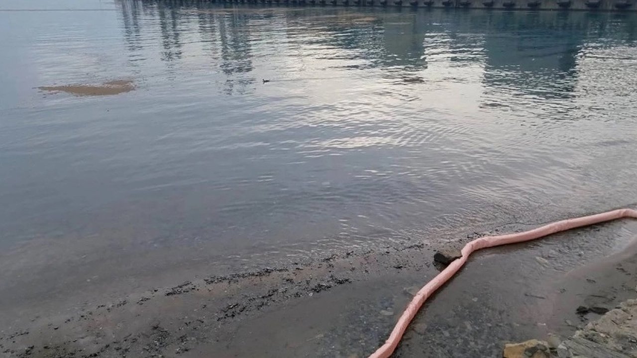 Главная картинка новости: В Новороссийске начато расследование источника загрязнения Черного моря