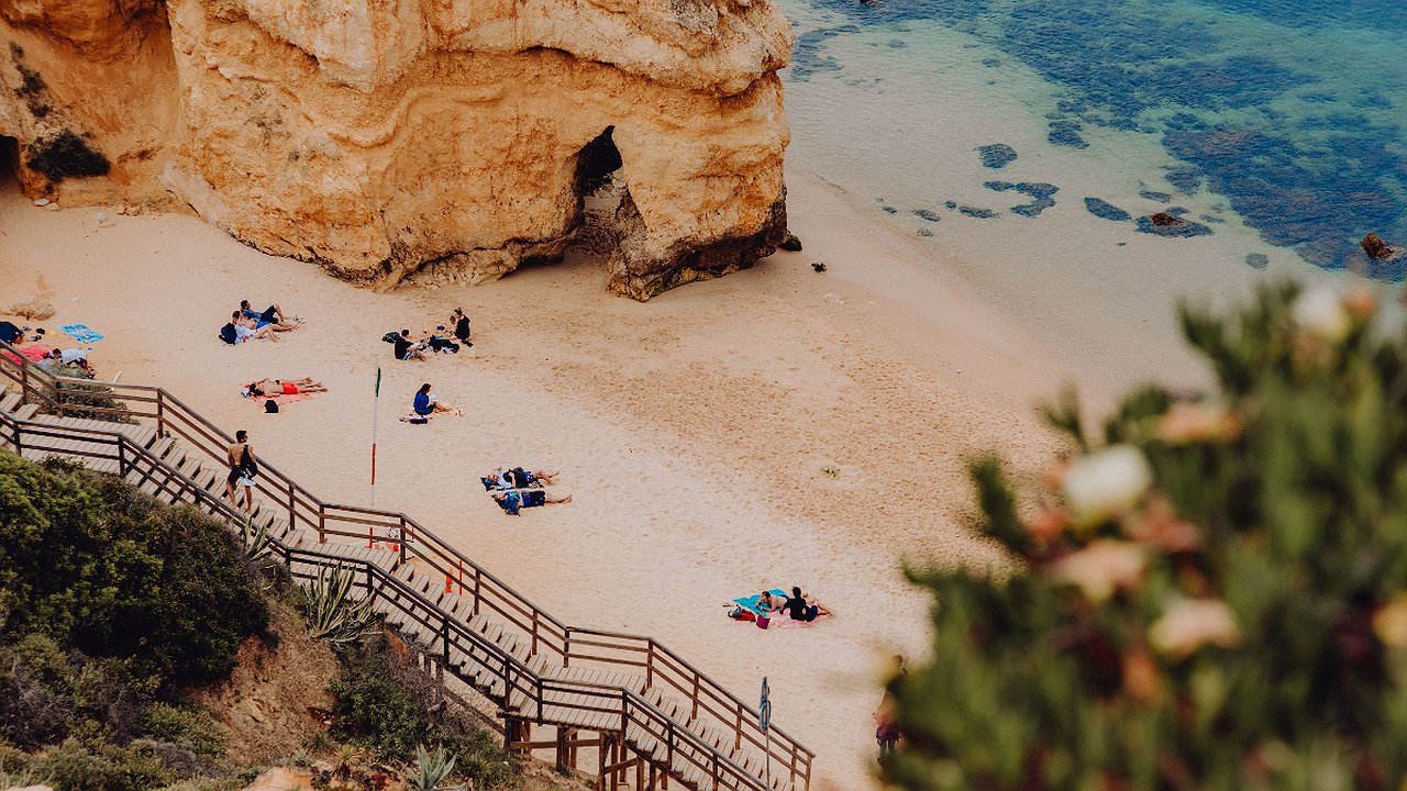 Главная картинка новости: Аномальная зима на юге России: на территории Краснодара царствует настоящая весна