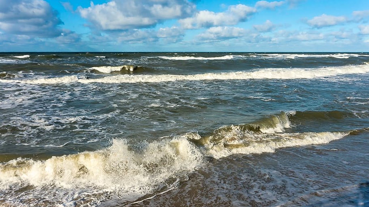Главная картинка новости: Весна пришла в Краснодарский край: климатическая аномалия 2025 года