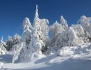 Непредсказуемая зима: что ожидать от февраля 2025 года