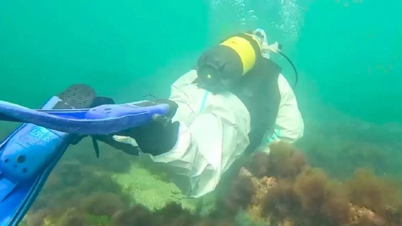 Главная картинка новости: Подводное обследование дна Черного моря у Анапы: результаты обнадеживают