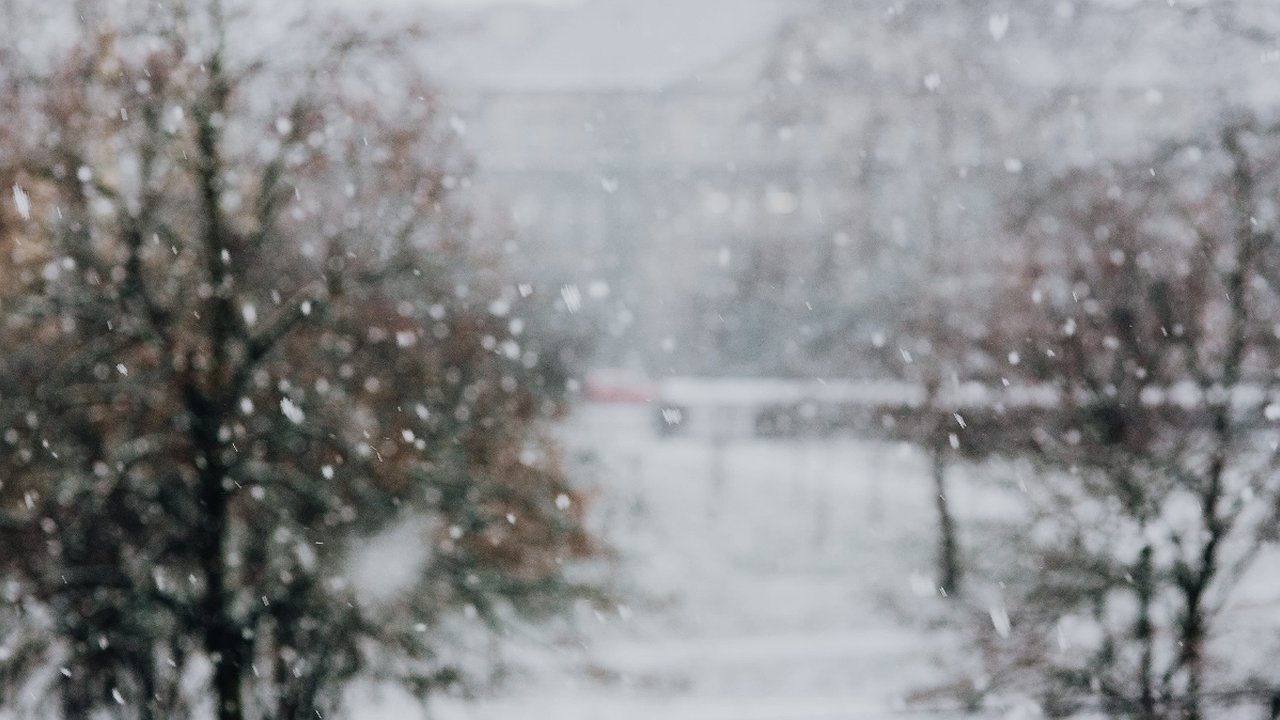 Главная картинка новости: Прогноз погоды на весну 2025 года: холодный март и температурные контрасты в России