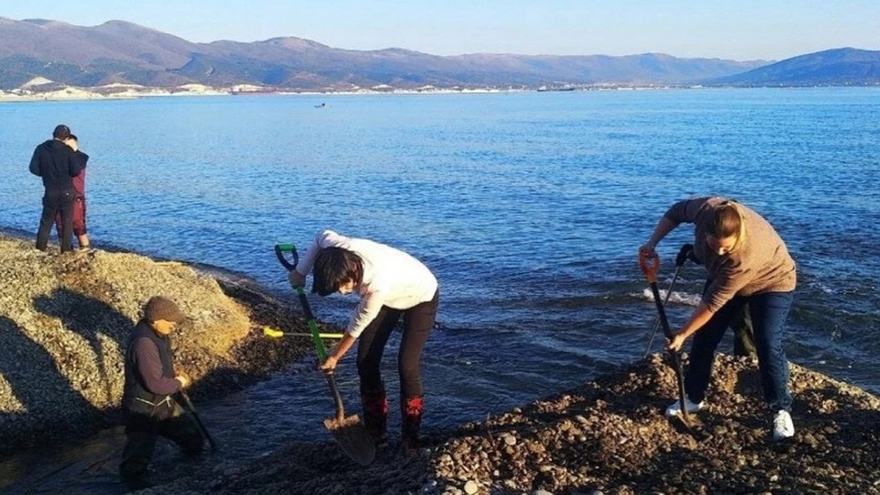 Главная картинка новости: Утвержден паспорт памятника природы для Суджукской лагуны: новые правила и защита экосистемы