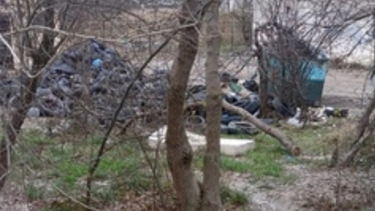 Главная картинка новости: Проблема несанкционированной свалки в Новороссийске: власти обещают решить вопрос