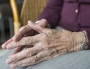 Развитие пенсионной системы Новороссийска: пожилое население ждут изменения с 1 марта