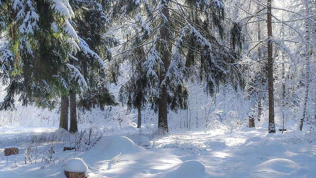 Главная картинка новости: Резкое ухудшение погоды ожидается в Краснодарском крае 17 февраля: синоптики предупреждают о сильных осадках