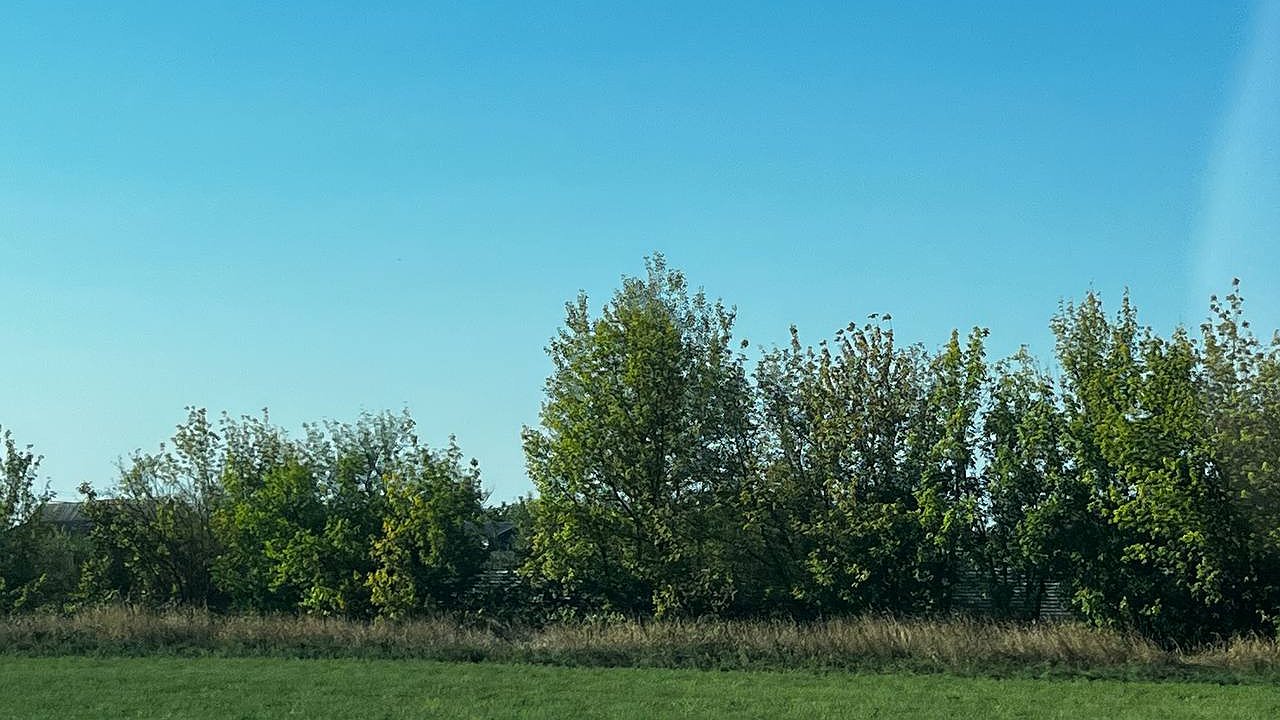 Главная картинка новости: Аномальная жара грядет с 1 марта: лето наступит на два месяца раньше - Вильфанд