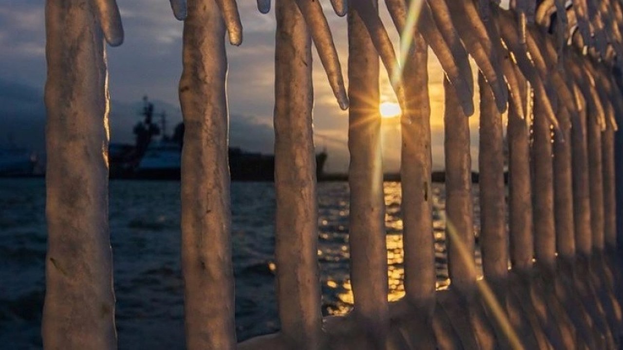 Главная картинка новости: Зимняя сказка Новороссийска: волшебные кадры от местных фотографов