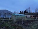 Почва станет мягче пуха: всего 2 стакана этих хлопьев - и богатый урожай обеспечен