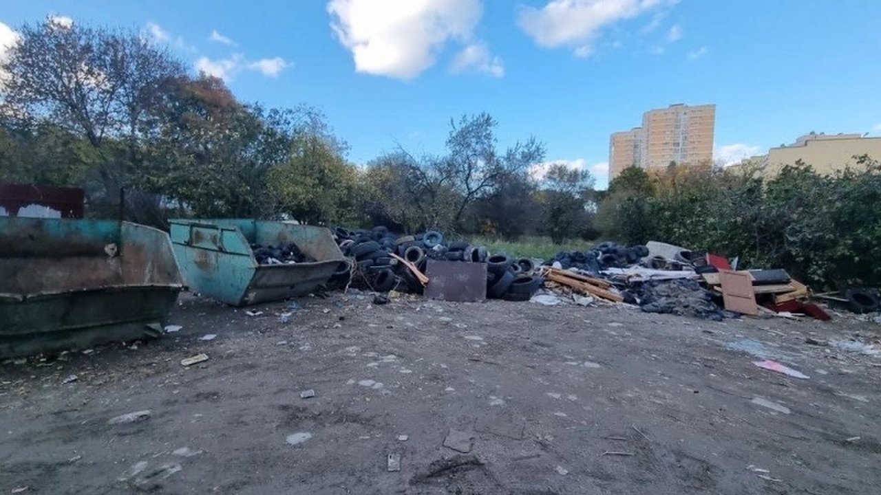 Главная картинка новости: Проблема несанкционированной свалки в Новороссийске: власти обещают завершить работы до 24 февраля