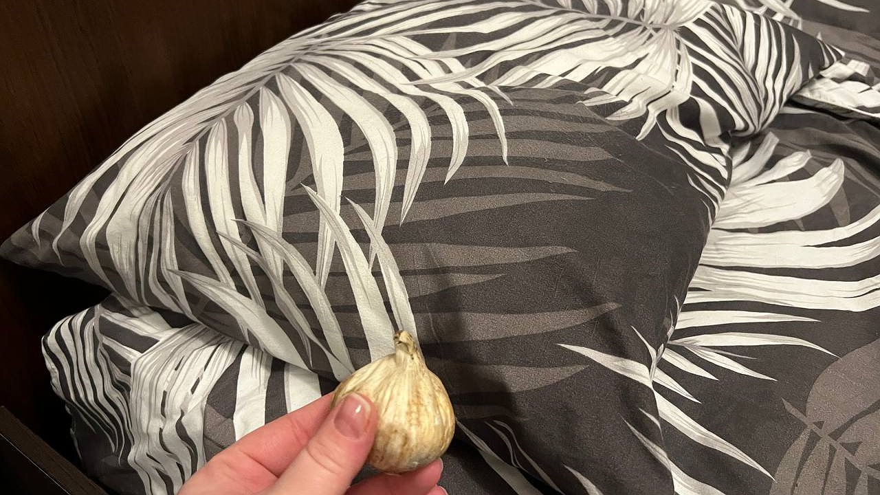 Главная картинка новости: Так делали еще наши предки: положите чеснок под подушку и уже утром эффект будет заметен