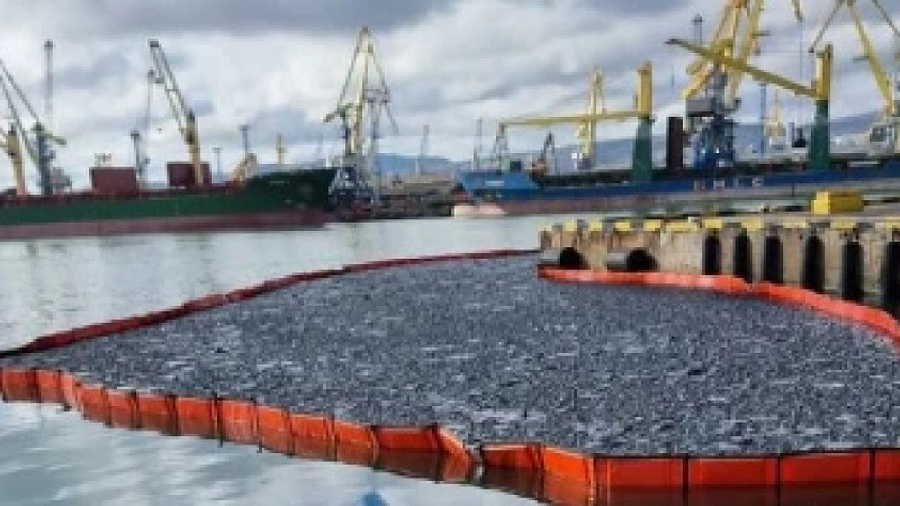 Главная картинка новости: Разлив мазута в Цемесской бухте: экологический ущерб и последствия