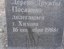 Новороссийцы требуют запрета на выгуливание собак на площади Героев