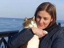 Чудо или 9 жизней: кошка Муся, сброшенная с обрыва, выжила