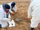 Проверка пляжей Краснодарского края: безопасность отдыха гарантирована только после завершения инспекции