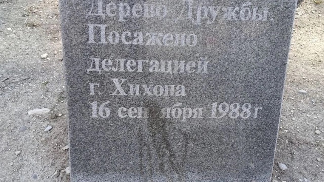 Главная картинка новости: Новороссийцы требуют запрета на выгуливание собак на площади Героев