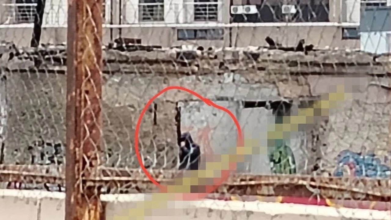 Главная картинка новости: Новороссийцы стали свидетелями неприемлемого поведения на набережной