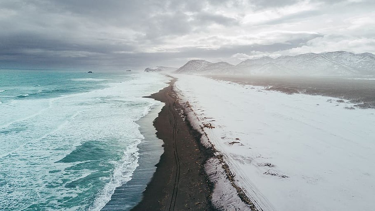 Главная картинка новости: Проблемы экосистемы Суджукской лагуны: закрытие прорана и гибель рыбы