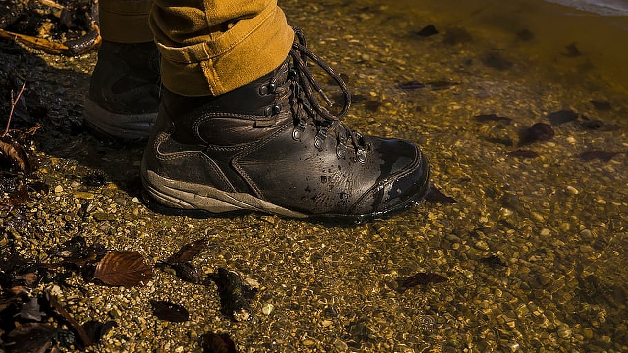 Главная картинка новости: Экологические проблемы при реконструкции Южных прудов в Новороссийске: трагедия для редких черепах