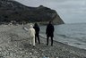 В Новороссийске зафиксированы выбросы мазута: власти уверяют, что ситуация под контролем