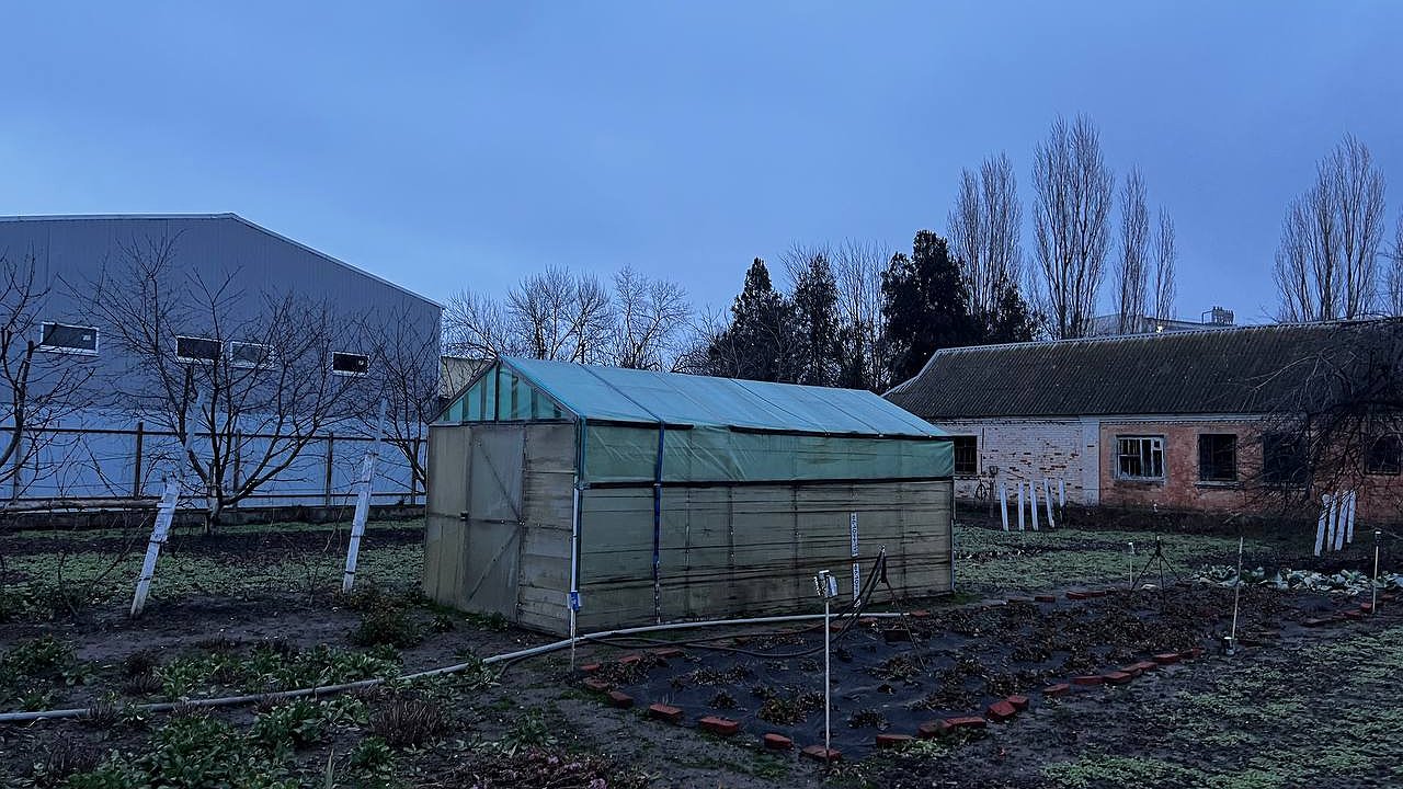 Главная картинка новости: В ближайшие время: россиянам назвали обязательное действие в марте, у кого есть участок, сад или огород
