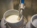Смело берите масло из одних сливок: эксперты назвали лучшие марки сливочного масла