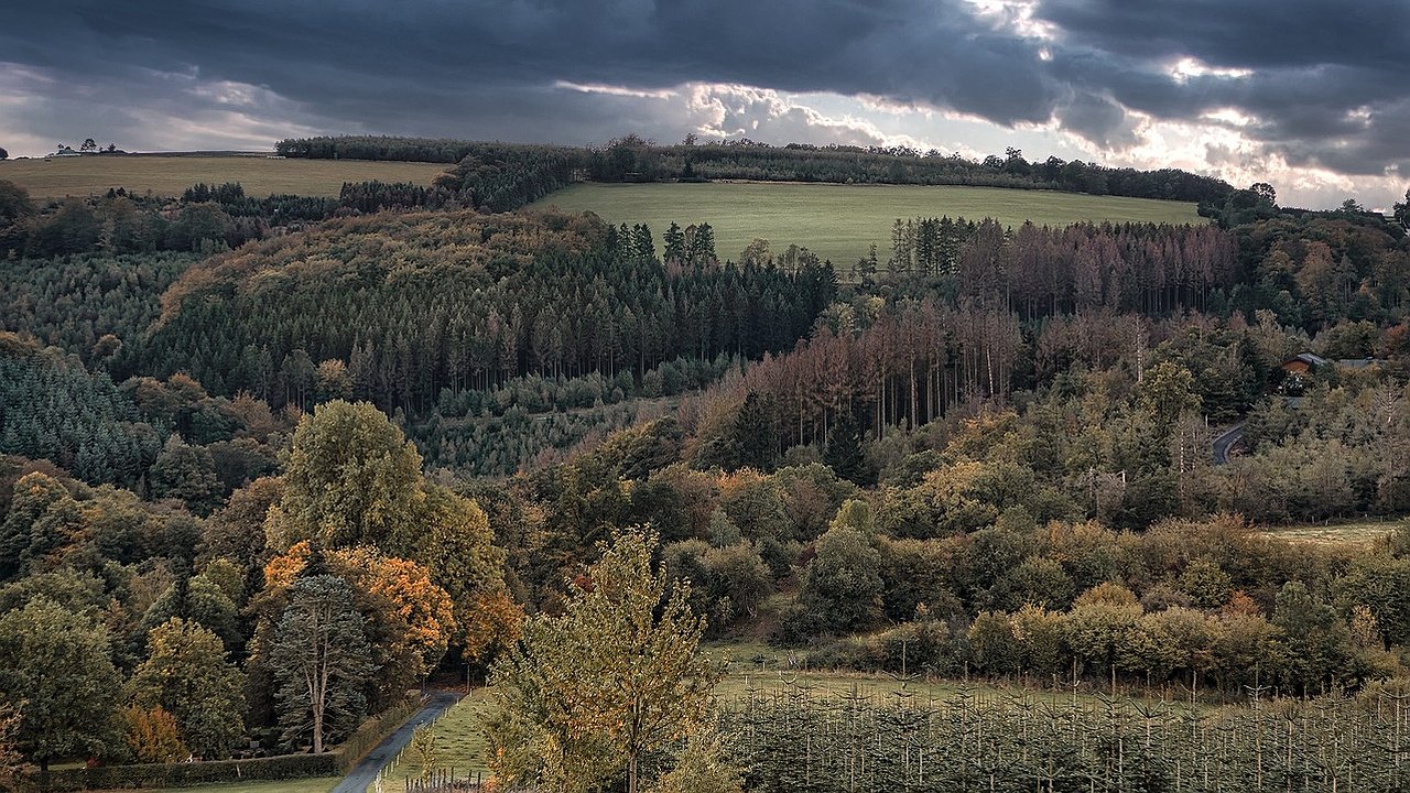 Главная картинка новости: «Неделя с 17 марта устроит нам всем подставу». Метеорологи резко изменили прогноз