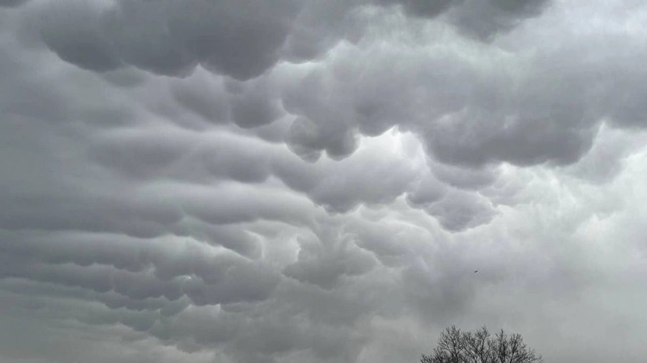 Главная картинка новости: Новороссийск удивлён облаками мамматус: жители делятся фотографиями в соцсетях