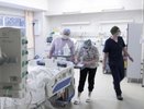 В Сочи началось длительное восстановление мальчика, пострадавшего от нападения хаски