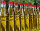Группа компаний «ЭФКО» приостанавливает работу заводов по переработке масла в Краснодарском крае